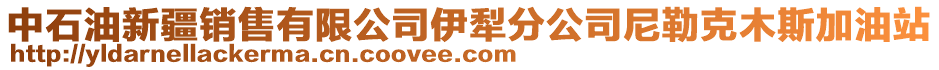 中石油新疆銷售有限公司伊犁分公司尼勒克木斯加油站