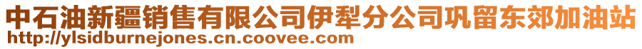 中石油新疆銷售有限公司伊犁分公司鞏留東郊加油站