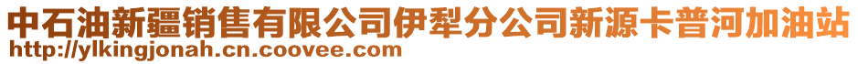 中石油新疆銷售有限公司伊犁分公司新源卡普河加油站