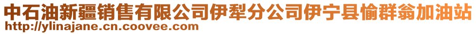 中石油新疆銷售有限公司伊犁分公司伊寧縣愉群翁加油站