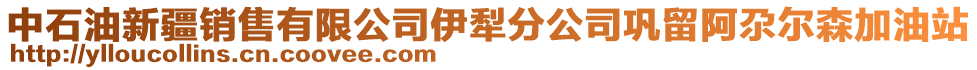 中石油新疆銷售有限公司伊犁分公司鞏留阿尕爾森加油站