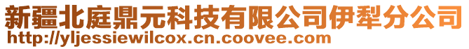 新疆北庭鼎元科技有限公司伊犁分公司