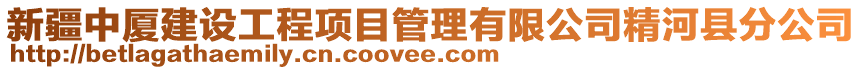 新疆中廈建設(shè)工程項目管理有限公司精河縣分公司