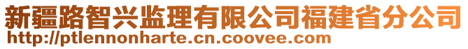 新疆路智興監(jiān)理有限公司福建省分公司