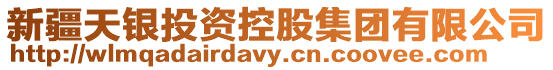 新疆天銀投資控股集團有限公司