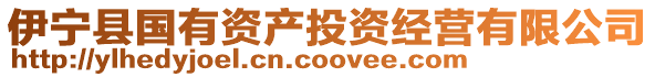 伊寧縣國(guó)有資產(chǎn)投資經(jīng)營(yíng)有限公司