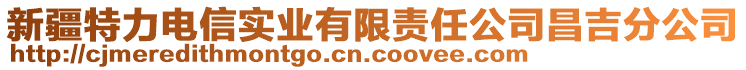 新疆特力電信實(shí)業(yè)有限責(zé)任公司昌吉分公司