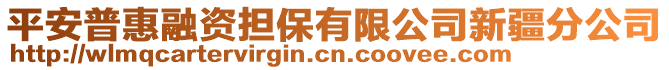 平安普惠融資擔保有限公司新疆分公司