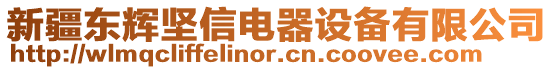 新疆東輝堅信電器設(shè)備有限公司