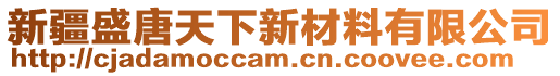 新疆盛唐天下新材料有限公司