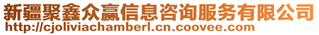 新疆聚鑫眾贏信息咨詢服務有限公司