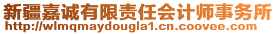 新疆嘉诚有限责任会计师事务所