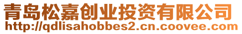 青島松嘉創(chuàng)業(yè)投資有限公司