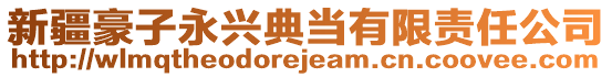 新疆豪子永興典當(dāng)有限責(zé)任公司