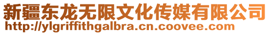 新疆東龍無限文化傳媒有限公司