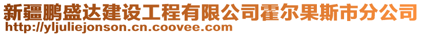 新疆鵬盛達(dá)建設(shè)工程有限公司霍爾果斯市分公司