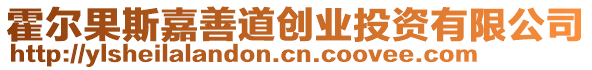 霍爾果斯嘉善道創(chuàng)業(yè)投資有限公司