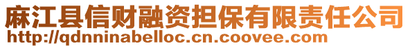 麻江縣信財融資擔(dān)保有限責(zé)任公司