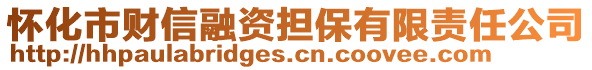 懷化市財(cái)信融資擔(dān)保有限責(zé)任公司