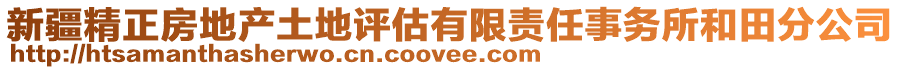 新疆精正房地产土地评估有限责任事务所和田分公司