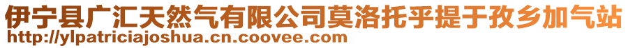 伊寧縣廣匯天然氣有限公司莫洛托乎提于孜鄉(xiāng)加氣站