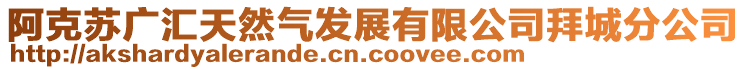 阿克蘇廣匯天然氣發(fā)展有限公司拜城分公司