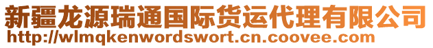 新疆龍源瑞通國際貨運代理有限公司