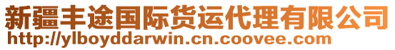 新疆豐途國際貨運(yùn)代理有限公司