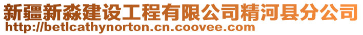 新疆新淼建設(shè)工程有限公司精河縣分公司