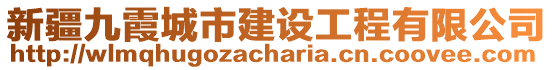 新疆九霞城市建設工程有限公司