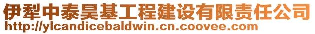 伊犁中泰昊基工程建設(shè)有限責(zé)任公司