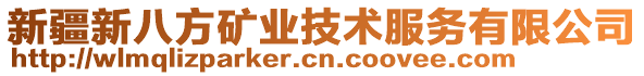 新疆新八方礦業(yè)技術(shù)服務(wù)有限公司