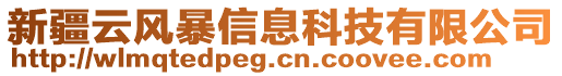 新疆云風(fēng)暴信息科技有限公司