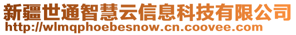 新疆世通智慧云信息科技有限公司