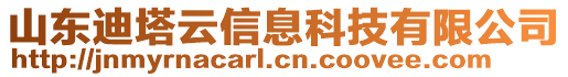 山東迪塔云信息科技有限公司