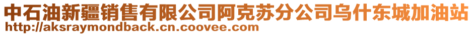 中石油新疆銷售有限公司阿克蘇分公司烏什東城加油站