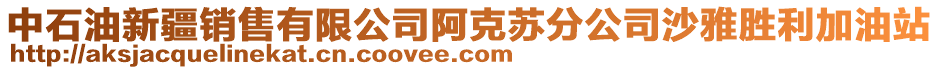 中石油新疆銷售有限公司阿克蘇分公司沙雅勝利加油站