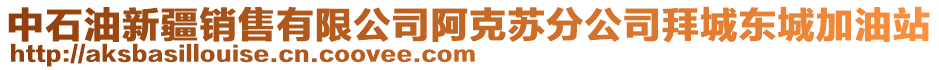 中石油新疆銷售有限公司阿克蘇分公司拜城東城加油站