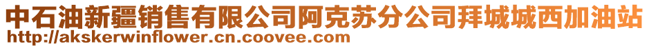 中石油新疆銷售有限公司阿克蘇分公司拜城城西加油站