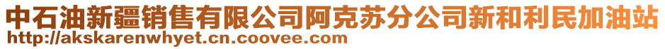 中石油新疆銷售有限公司阿克蘇分公司新和利民加油站