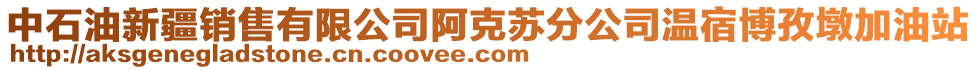 中石油新疆銷售有限公司阿克蘇分公司溫宿博孜墩加油站