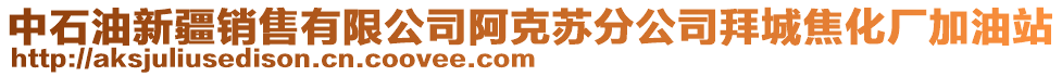 中石油新疆銷售有限公司阿克蘇分公司拜城焦化廠加油站