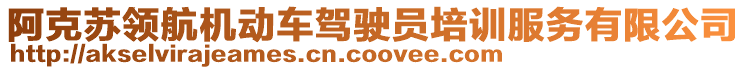 阿克蘇領(lǐng)航機動車駕駛員培訓(xùn)服務(wù)有限公司