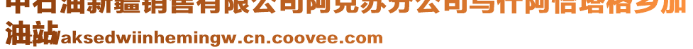 中石油新疆銷售有限公司阿克蘇分公司烏什阿恰塔格鄉(xiāng)加
油站