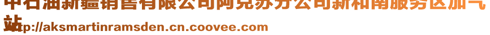 中石油新疆銷售有限公司阿克蘇分公司新和南服務(wù)區(qū)加氣
站