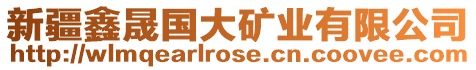 新疆鑫晟國大礦業(yè)有限公司