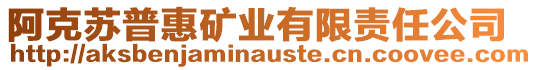 阿克蘇普惠礦業(yè)有限責(zé)任公司