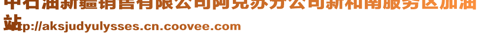 中石油新疆銷售有限公司阿克蘇分公司新和南服務(wù)區(qū)加油
站