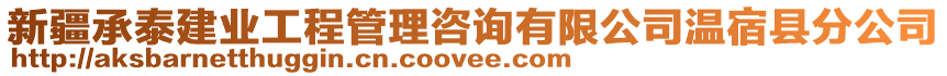 新疆承泰建业工程管理咨询有限公司温宿县分公司