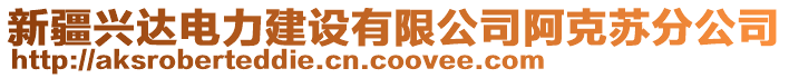 新疆興達電力建設有限公司阿克蘇分公司